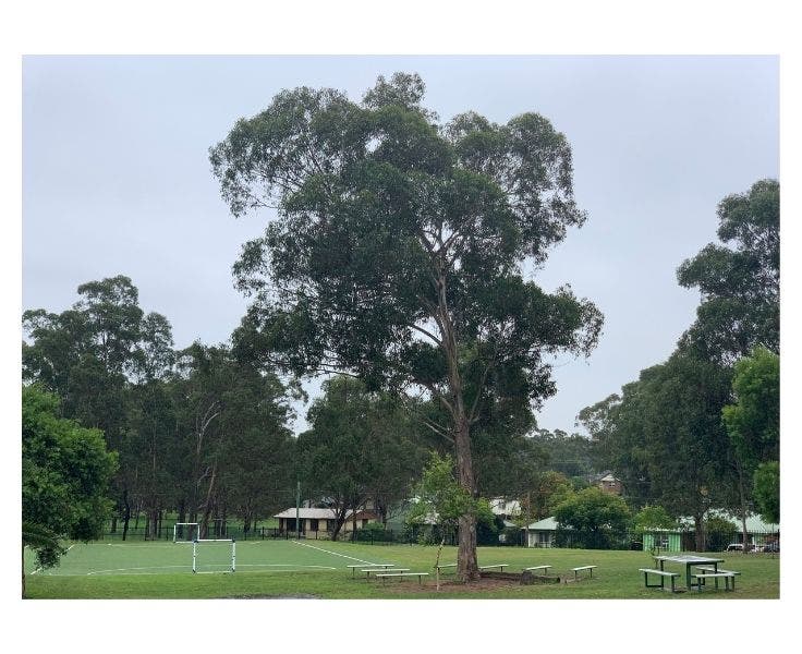 Copy of DA - Gallery - 5