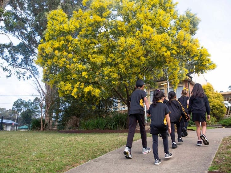 Students walking up hill