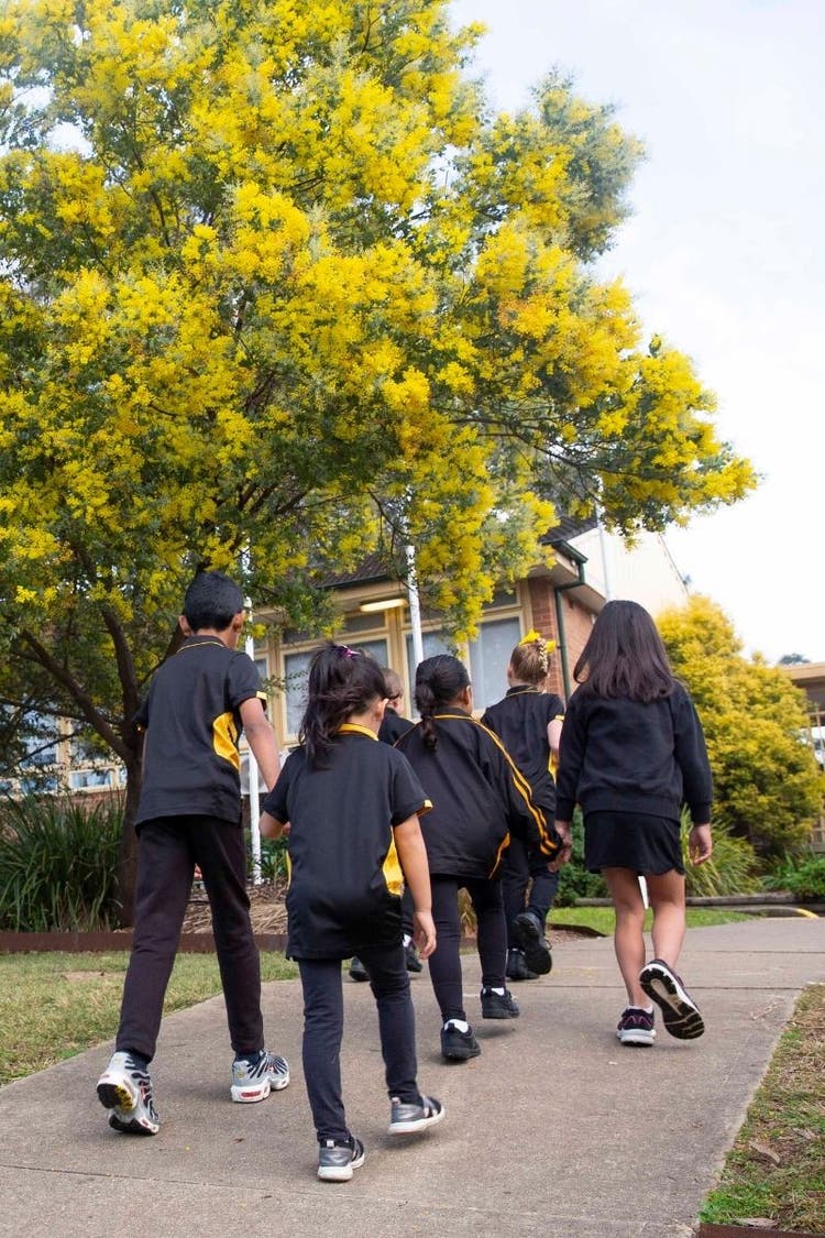 Students walking up the hill into school